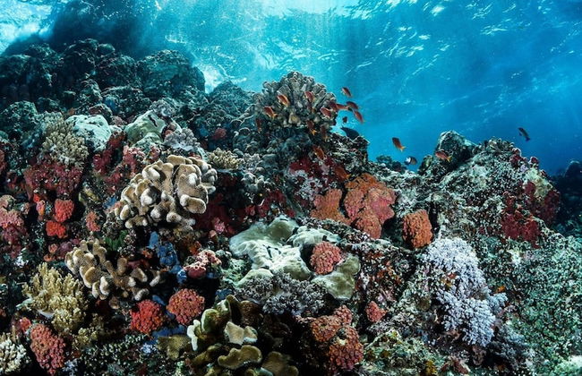 Beautiful Jungle Loft With Rooftop Pool and Gym - Photo 50