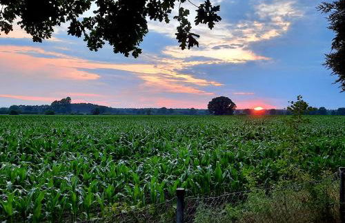 UnserGuesterHaus - Foto 11