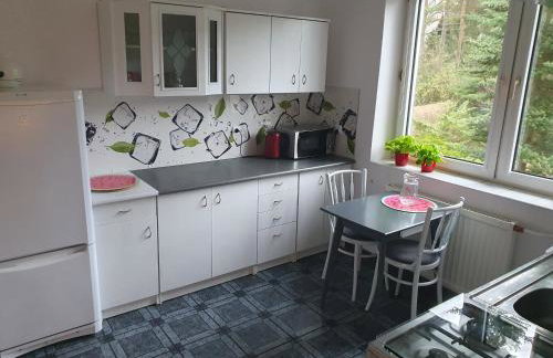 Przestronny, komfortowy dom - Foto 15