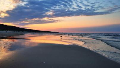 Fewo Wellenreiter Usedom 200 m zum Strand mit Balkon Parkplatz Wlan - Foto 4