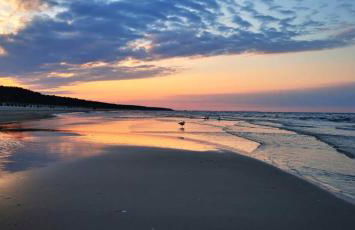 Fewo Wellenreiter Usedom 200 m zum Strand mit Balkon Parkplatz Wlan - Foto 4