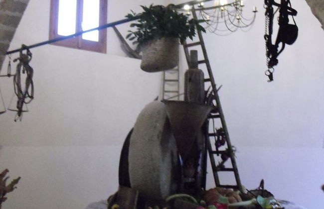 Agriturismo Castelluzzo - Foto 29