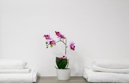 Casa Sollai - Foto 10