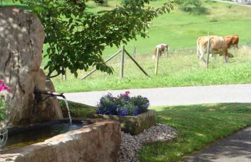 Ferienanlage Freyenhöfe - Foto 26