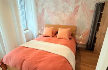 Le salon des voyageurs - Appartement au coeur du Centre Historique de Dole avec Terrasse - Foto 9