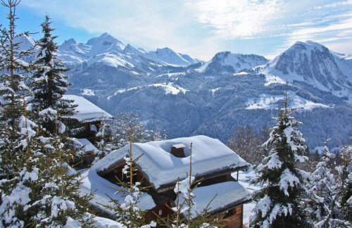 Chalet Farapreu - Foto 29