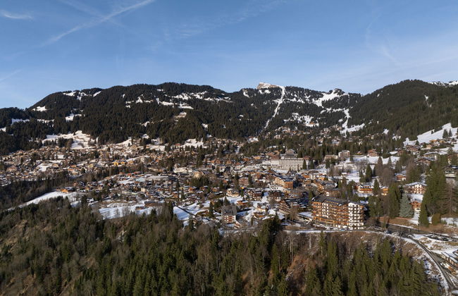 Le Bristol B36 - Foto 35