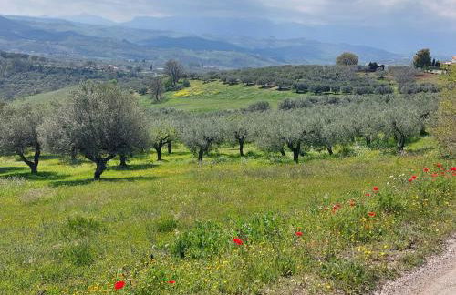 Heritage Apartment Nestled Between Sea and Hills - Foto 14