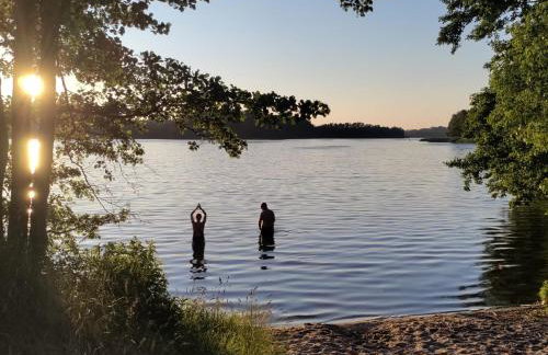 Widny Jaś zaprasza z psem nad jezioro na Kaszubach - Foto 28