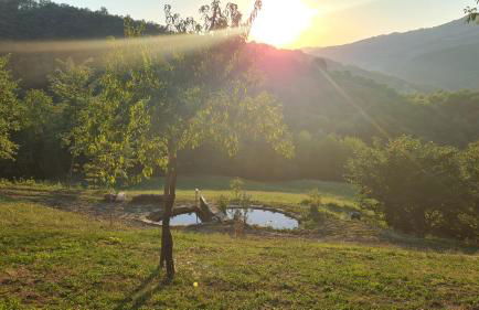 Tana della Lavanda - Photo 8