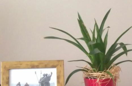 Torre Center II - Photo 22