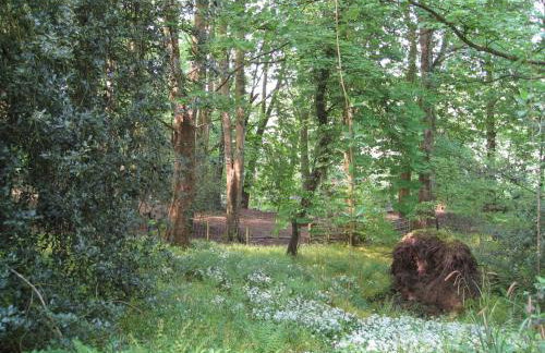 Doonbank Cottage Bothy - Foto 35