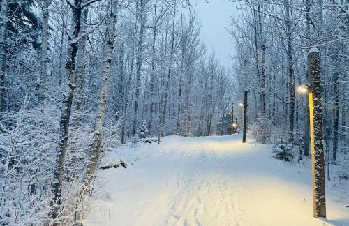 Resort Hot Tub Pool Gym Ski-in out Fire Pits - Foto 43