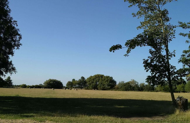 Cosy Pine Lodge With far Reaching Country Views and Large sun Deck - Photo 10