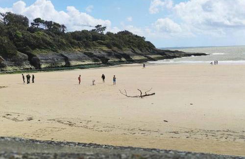 Les dunes de Nauzan - Foto 32