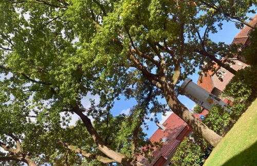 Olivewood City Apartment, 6 People - Photo 26