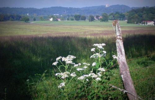 Little River Guest House at Tennessee RiverPlace - Foto 60