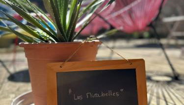 Les Mirabelles - Foto 2