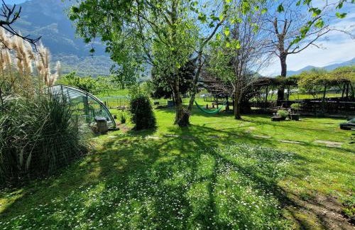 Il Nocciolo - Foto 13