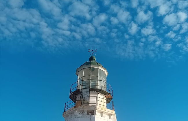 Excursión privada de medio día a la costa - Foto 12