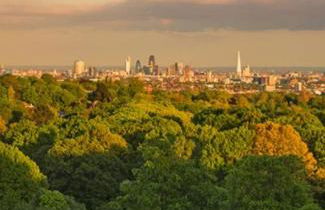 Lovely 2 bed cottage in Highgate, London - Photo 8
