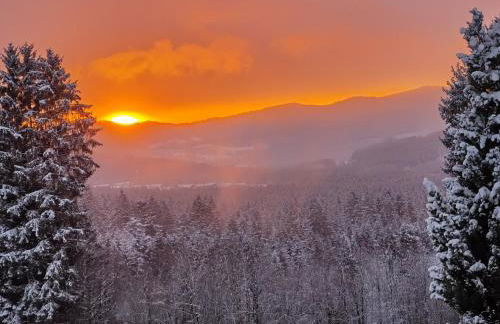 Altes Forsthaus Bodenmais - Foto 47