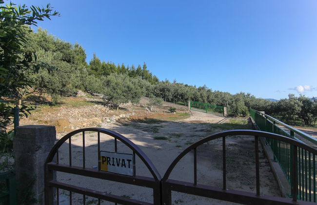 Apartments Villa Alex - Foto 49