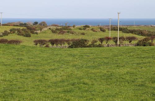 The Hawthorns - Photo 36