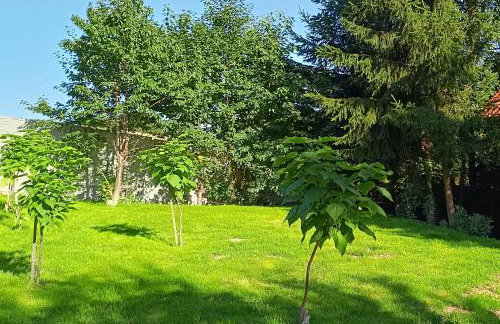 APARTAMENTY z GÓRSKIM KLIMATEM - Foto 54