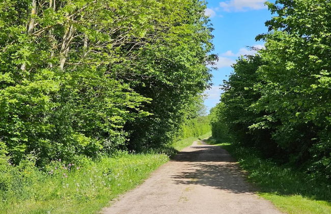 Fabulous Holiday Home in Thorstorf near Sea - Foto 26