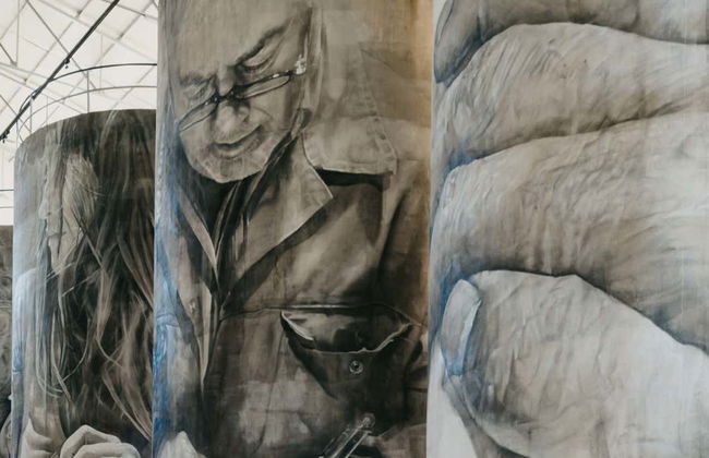 Visite des bodegas Solar de Samaniego - Photo 1