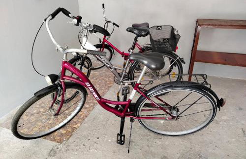 W Dolinie Drwęcy przy Dworcowej - Foto 15