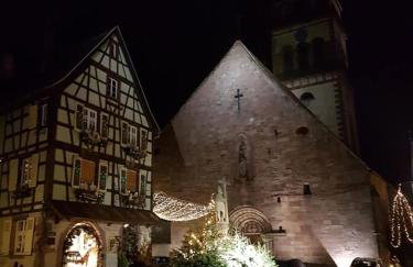 gite joseph 2pers dans le vignoble à 8km de Colmar - Foto 14