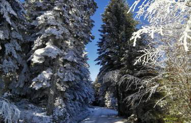 Charmante maison de famille au calme, 5 chambres, jacuzzi - Foto 59