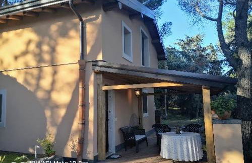 Feudo Algerazzi - Foto 60