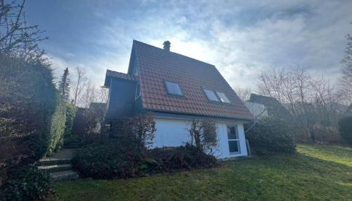 Wolfs-Blick - Foto 2