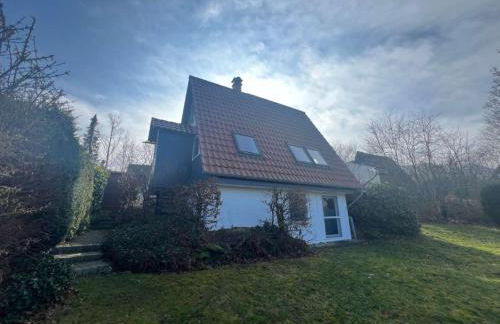 Wolfs-Blick - Foto 2