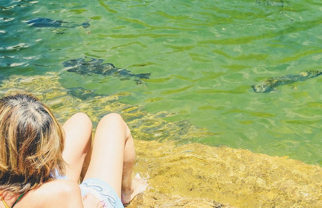 Balneário do Sol Tickets - Foto 1