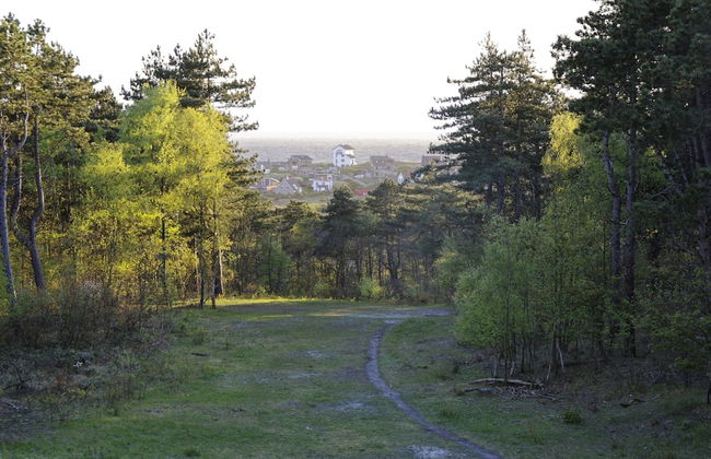 Spacious Coastal Getaway Bergen - Photo 29