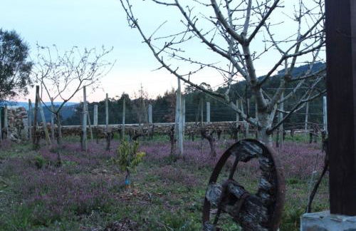 Casa da Tileira - Photo 25