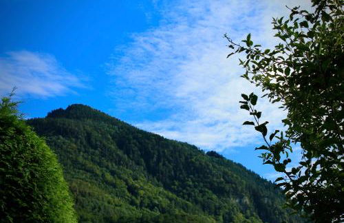 Ferienwohnung Bergliebe - Photo 16