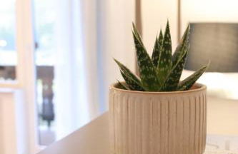 Eifel17 plus 6 - Japandi-Stay in der Vulkaneifel - Foto 34