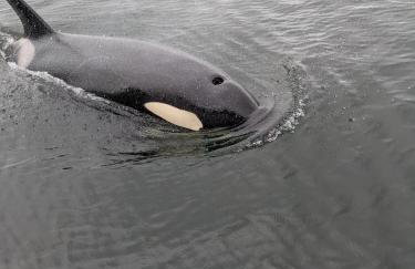 Accessible, Comfort, Convenient Location 106 - Foto 26