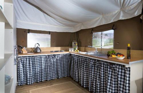 Snipe - Bleasdale - Foto 2