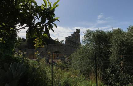 Bouganville in Villa Greco - Foto 78