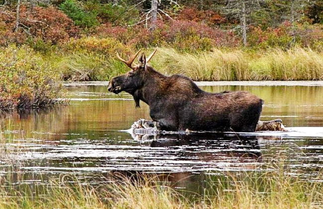 4 Person Holiday Home in Mora - Photo 11