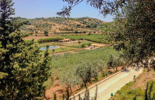 Tenuta Bartoli - Foto 19