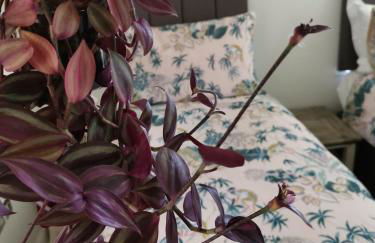 Three Peaks View Cottage BD23 4SP - Foto 23