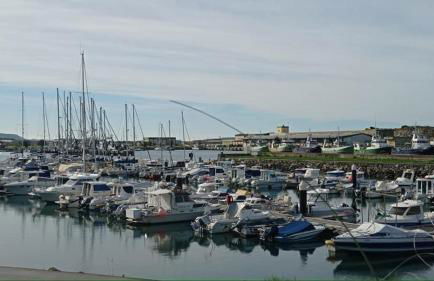 West coast dream Nazare - Foto 41