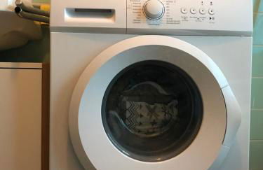 Ahmed Al-Hamadani - Photo 2